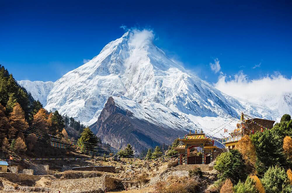 Fotografie trhaní plodů raketníku v keře v Tibetu pro Himalyo.